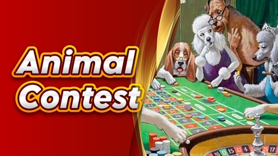 Animal Contest