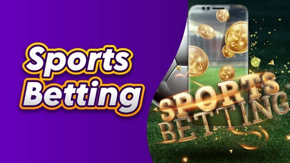 Dubai7 Sports Betting